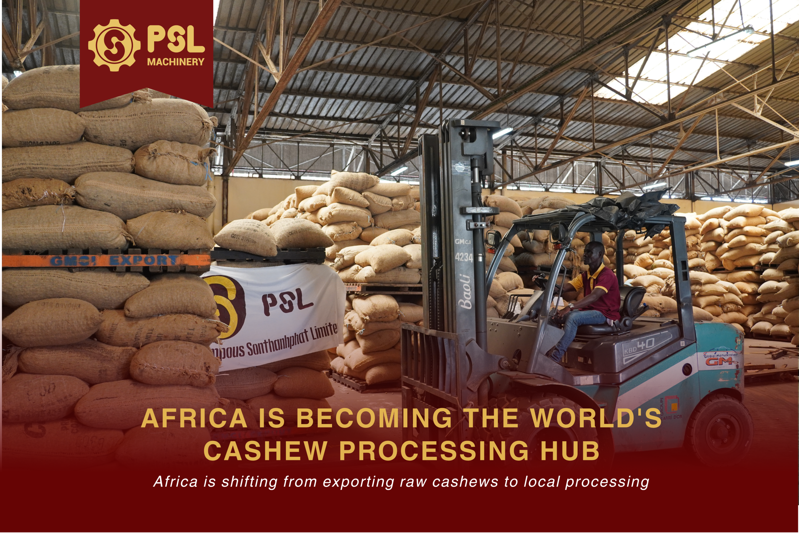 Africa Is Becoming the World's Next Cashew Processing Hub